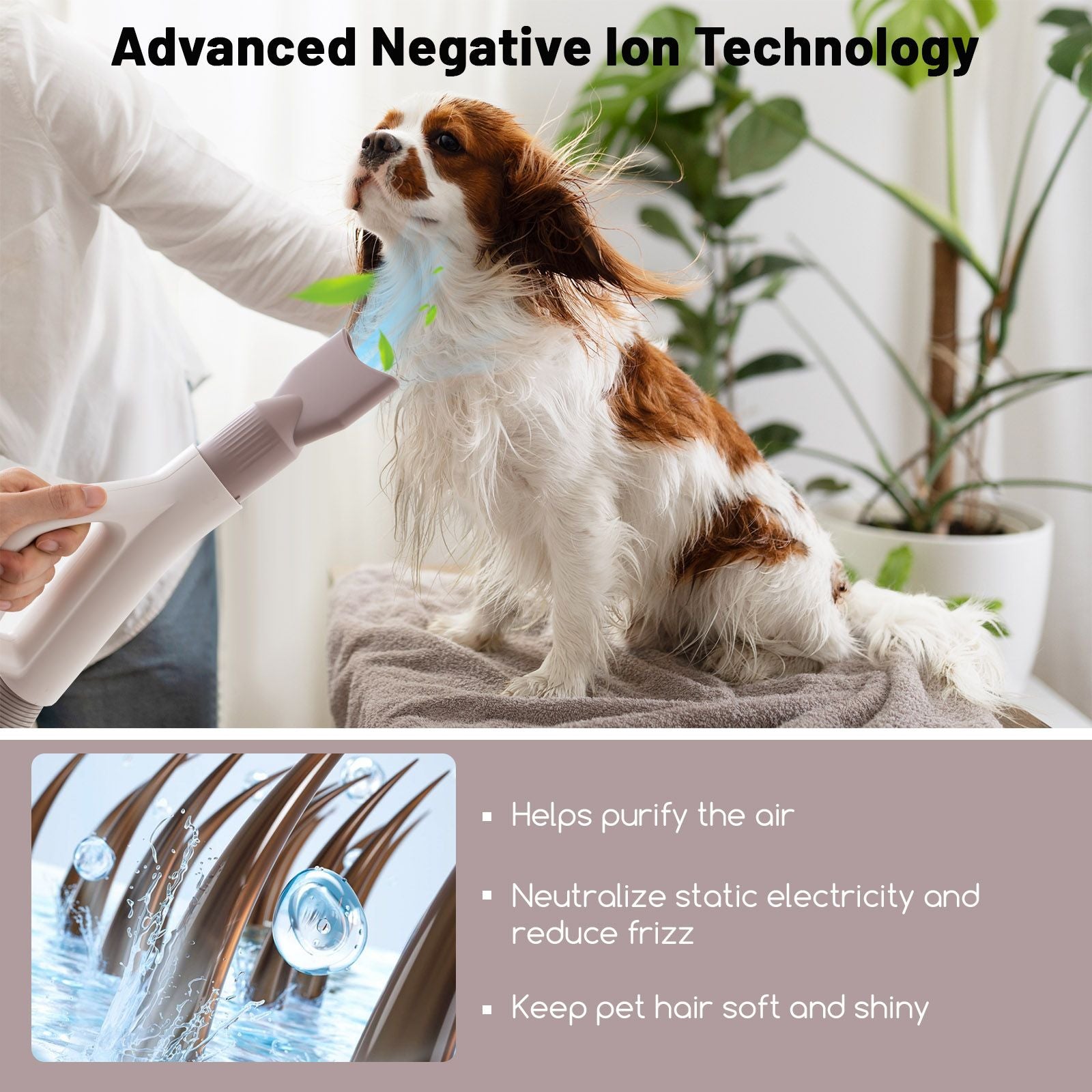 Dog Cat Hair Blower with Negative Ion Function