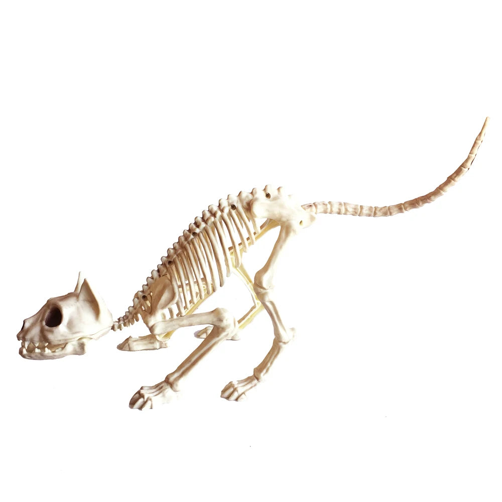 Skeleton Cat 100% Plastic Animal Skeleton Bones for Scary Halloween Decoration