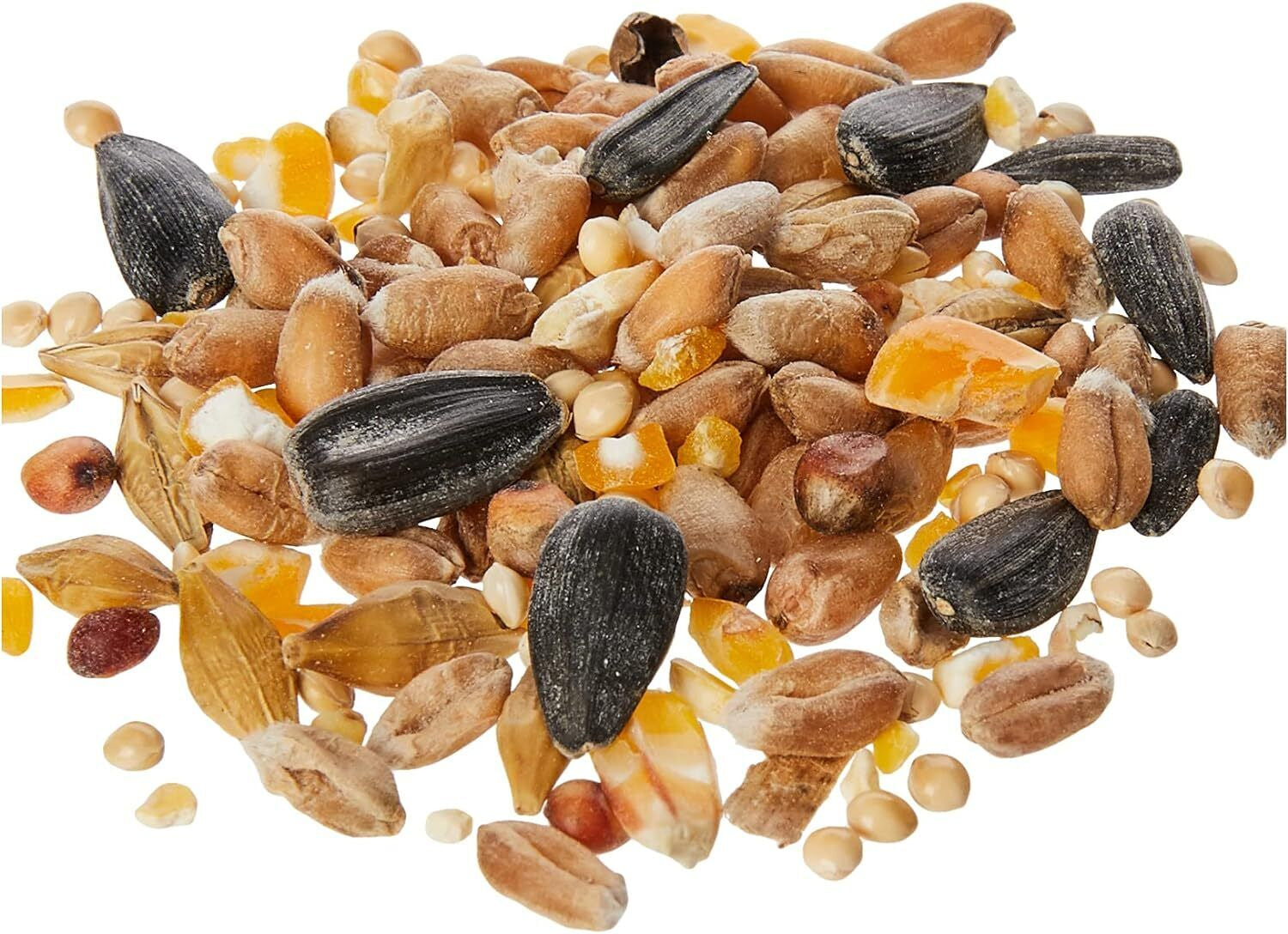 Extra Select Seed Mix Wild Bird Food Nutrient Rich Skin & Coat Health Small Bird