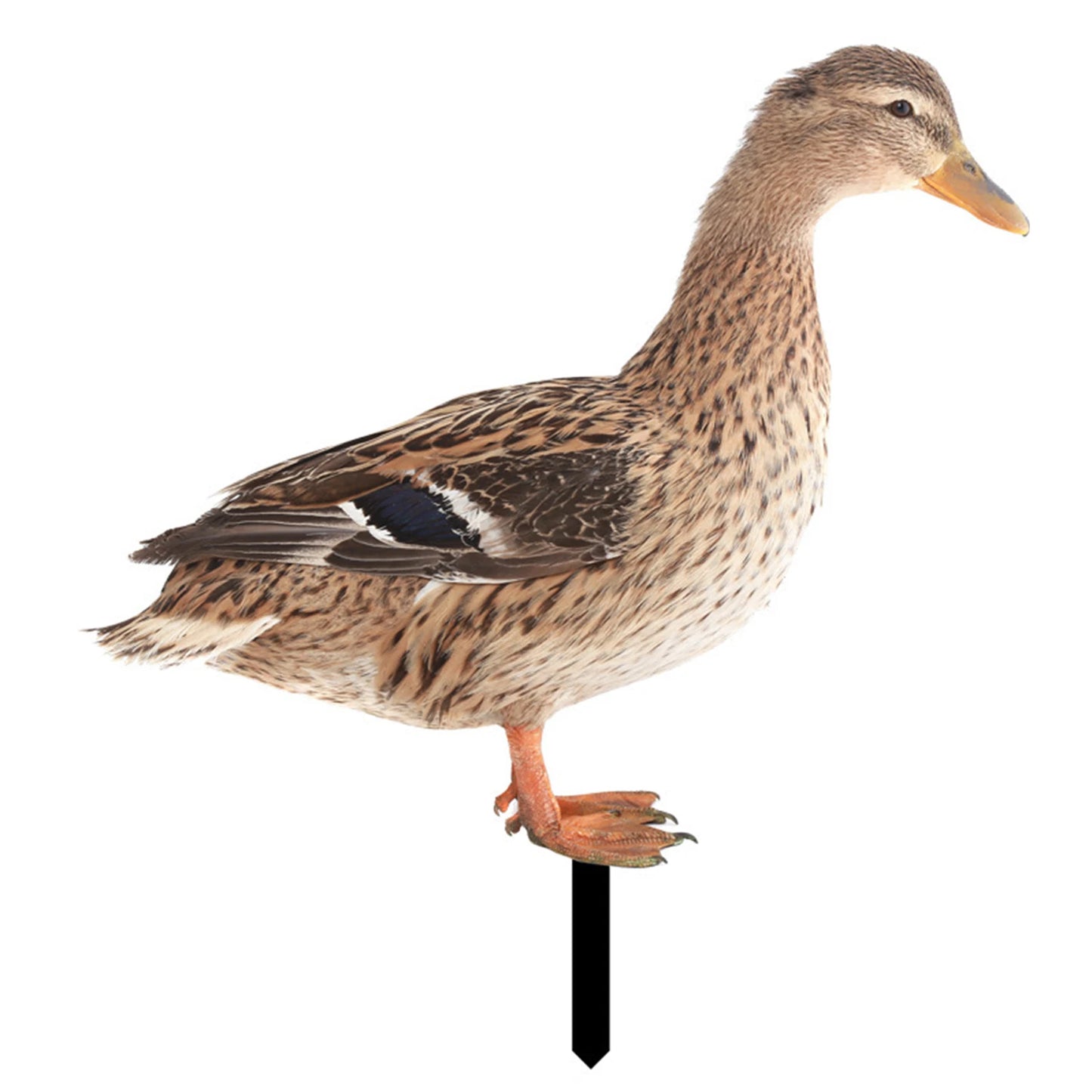 1Pcs Acrylic Duck Garden Stake Garden Decoration Chicken Garden Figures Yard Garden Statue Decor Outdoor Lawn Decor Decoration