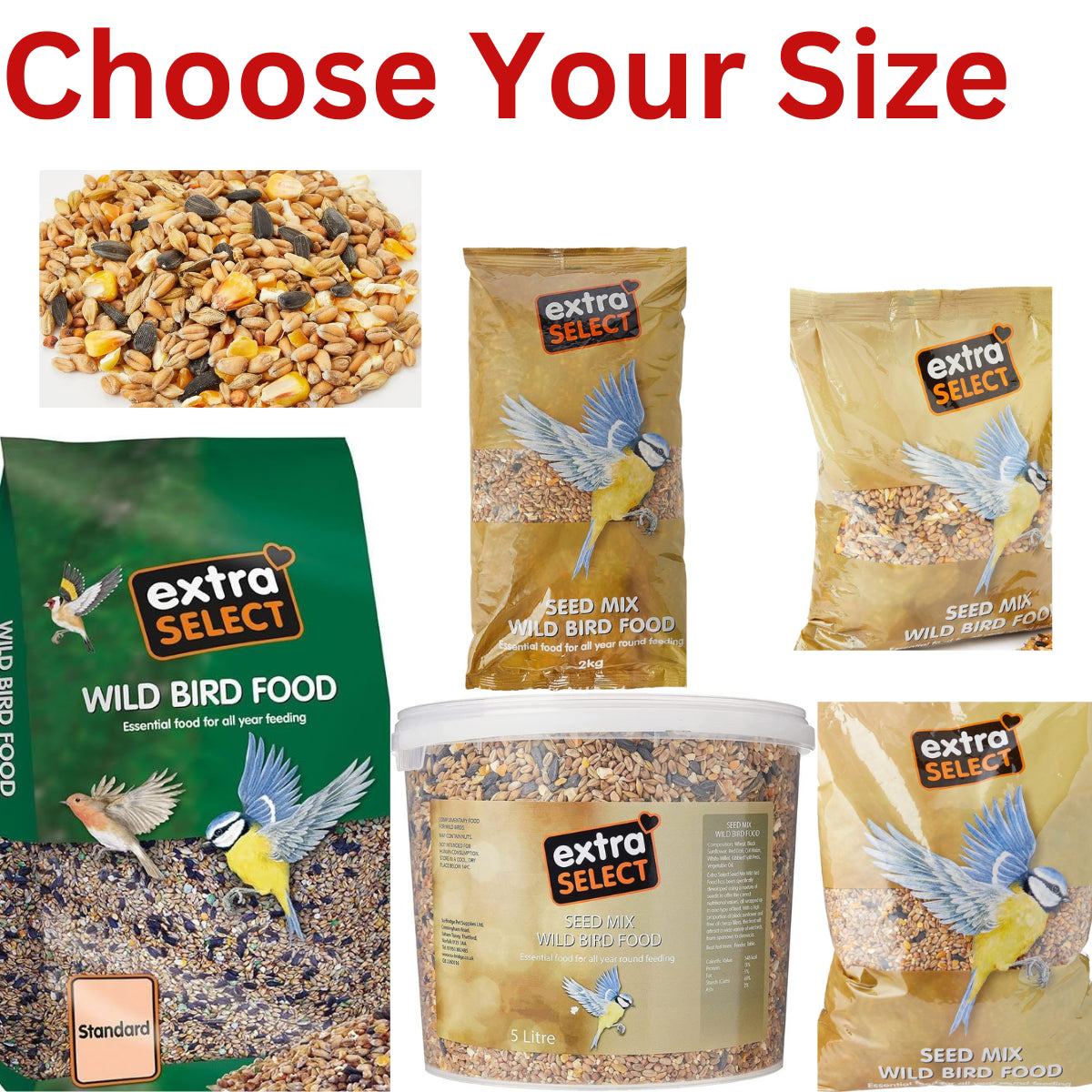 Extra Select Seed Mix Wild Bird Food Nutrient Rich Skin & Coat Health Small Bird