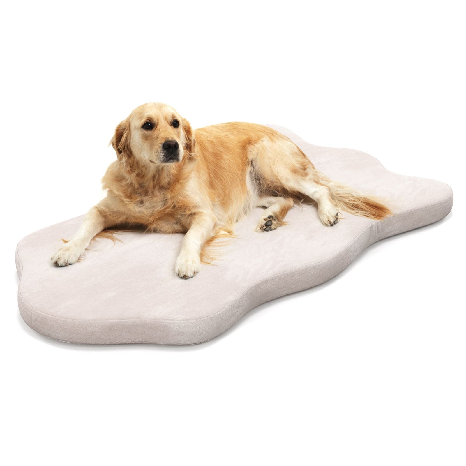 Large Dog Bed with Memory Foam Support and Removable Cover