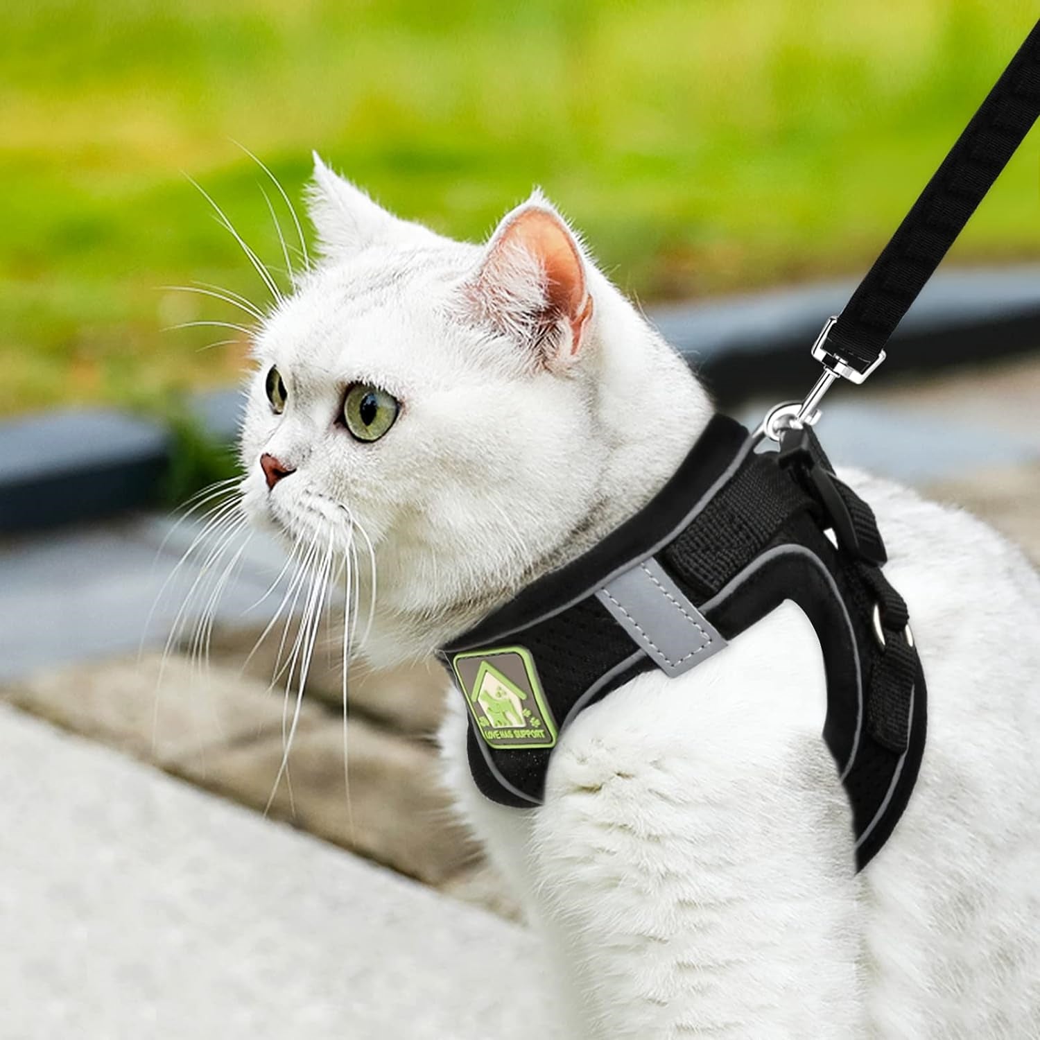 Cat Collars Harnesses and Lead Set Kitten Walking Escape Proof Adjustable Lead