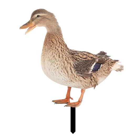 1Pcs Acrylic Duck Garden Stake Garden Decoration Chicken Garden Figures Yard Garden Statue Decor Outdoor Lawn Decor Decoration