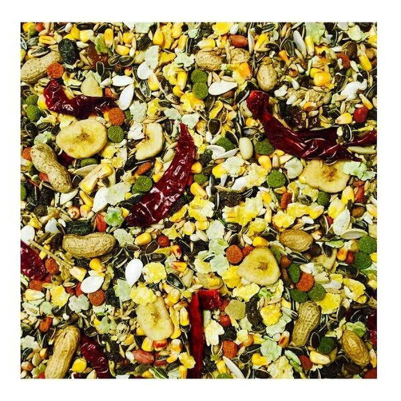 Bucktons Elite Parrot Bird Food 12.75Kg Seed Feed Mix Fruity Blend for Parrots