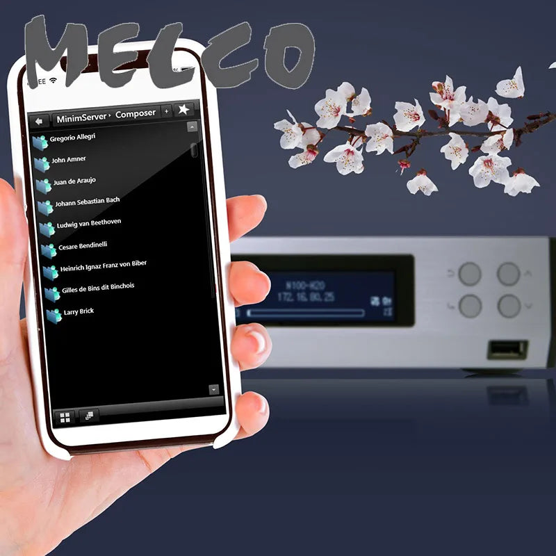 Melco N100 DSD Digital Turntable NAS Digital Broadcast 2TB Hard Disk Network Streaming Media Player Built - in 2TB Hard Disk