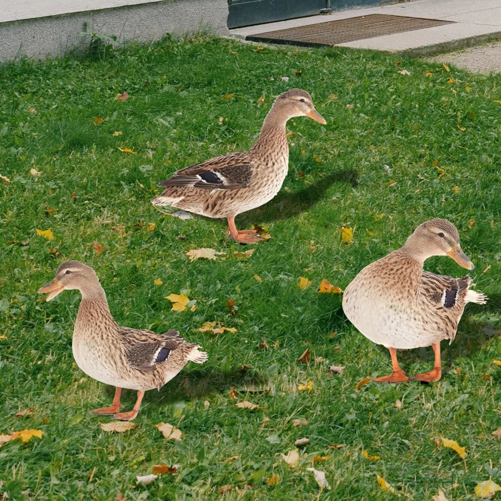 1Pcs Acrylic Duck Garden Stake Garden Decoration Chicken Garden Figures Yard Garden Statue Decor Outdoor Lawn Decor Decoration