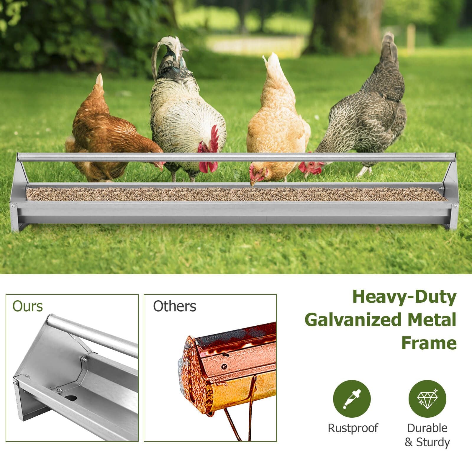 Steel Chicken Feeding Trough with Crossbar and Drainage Holes