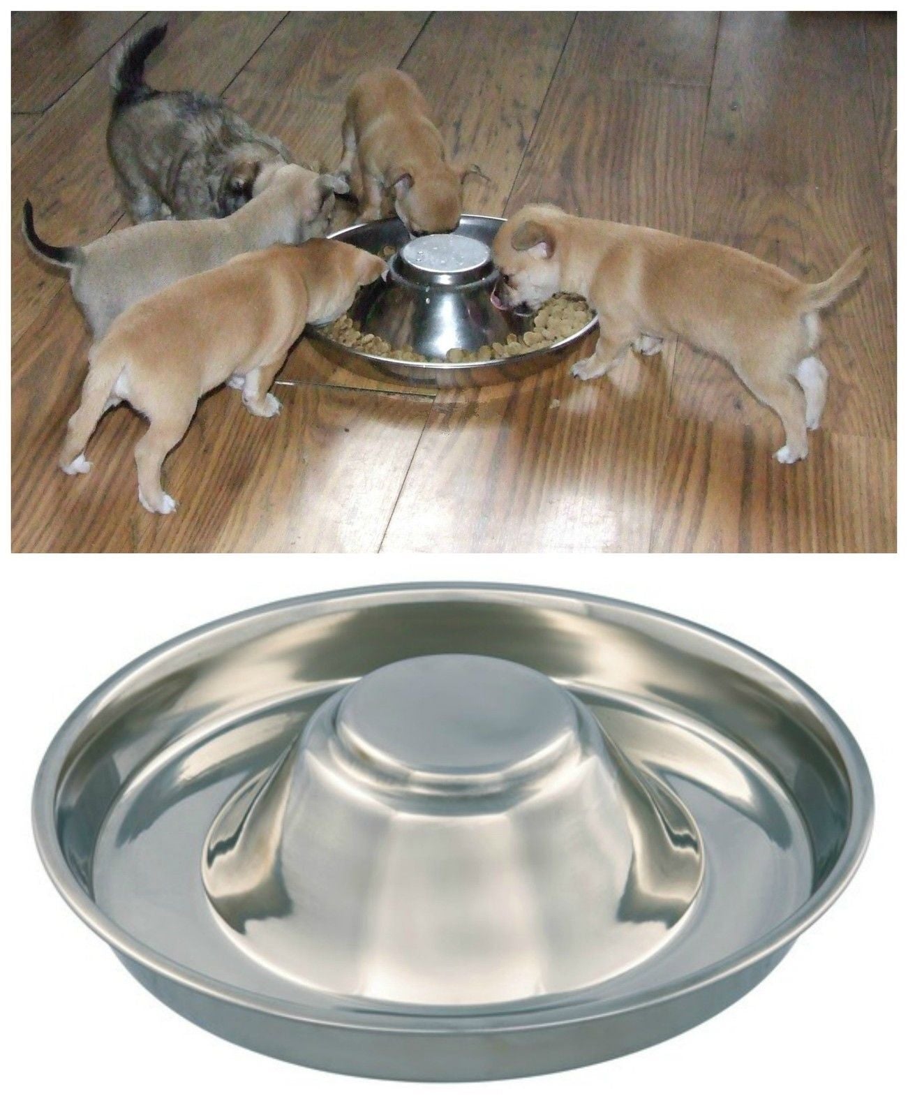 Puppy Dog Pet Cat Litter Food Feeding Weaning Silver Stainless Feeder Bowl Dish