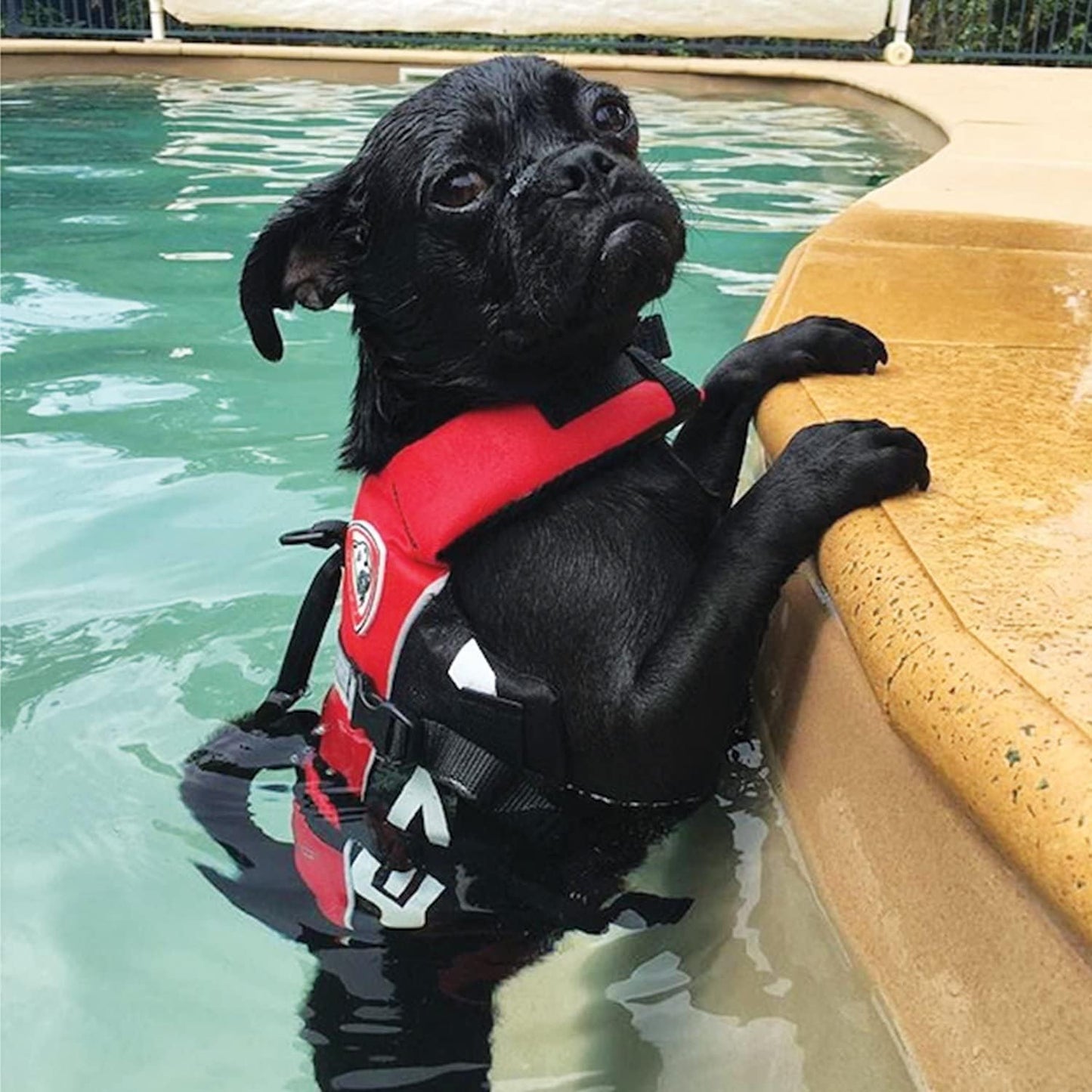 Micro Doggy Flotation Device (DFD)