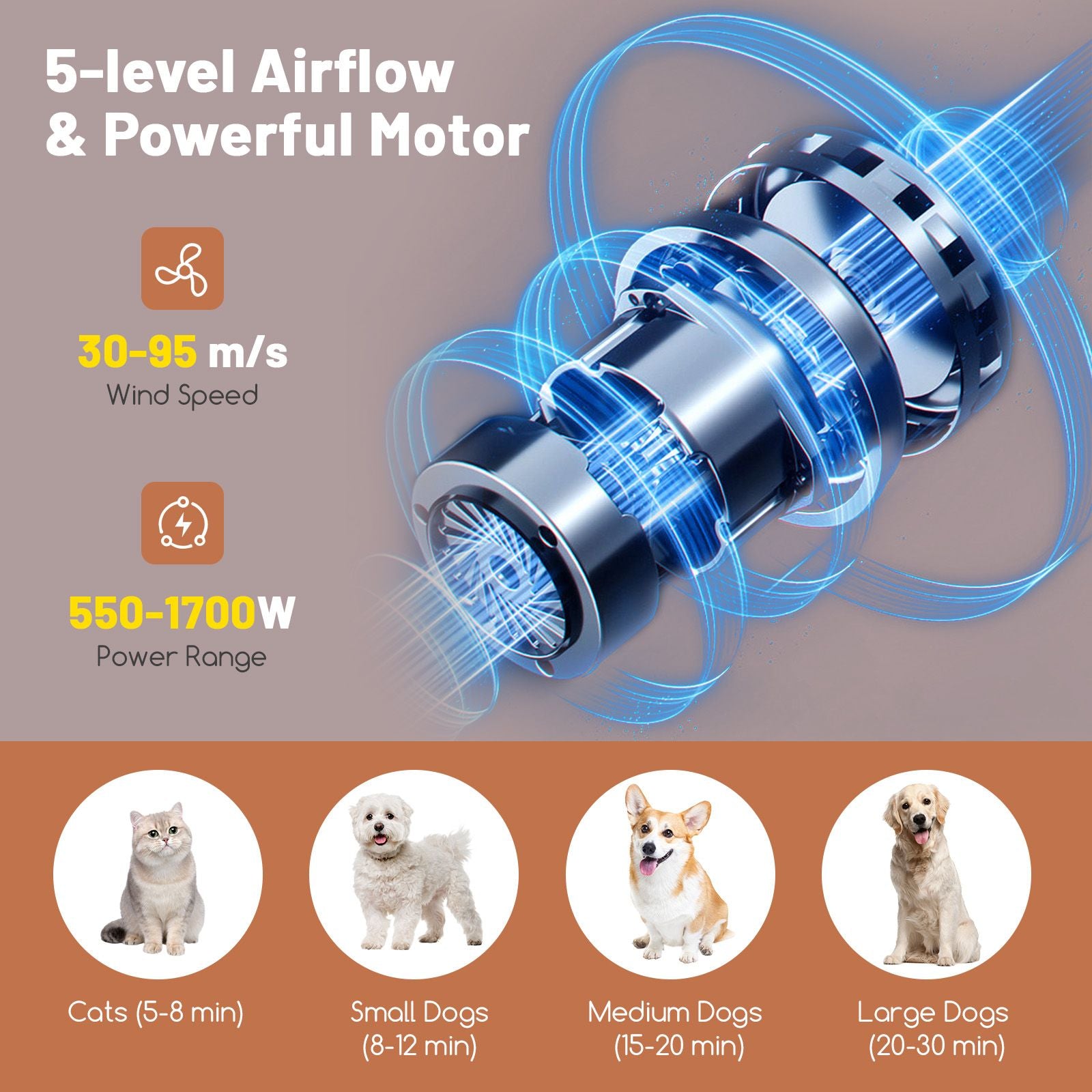 Dog Cat Hair Blower with Negative Ion Function