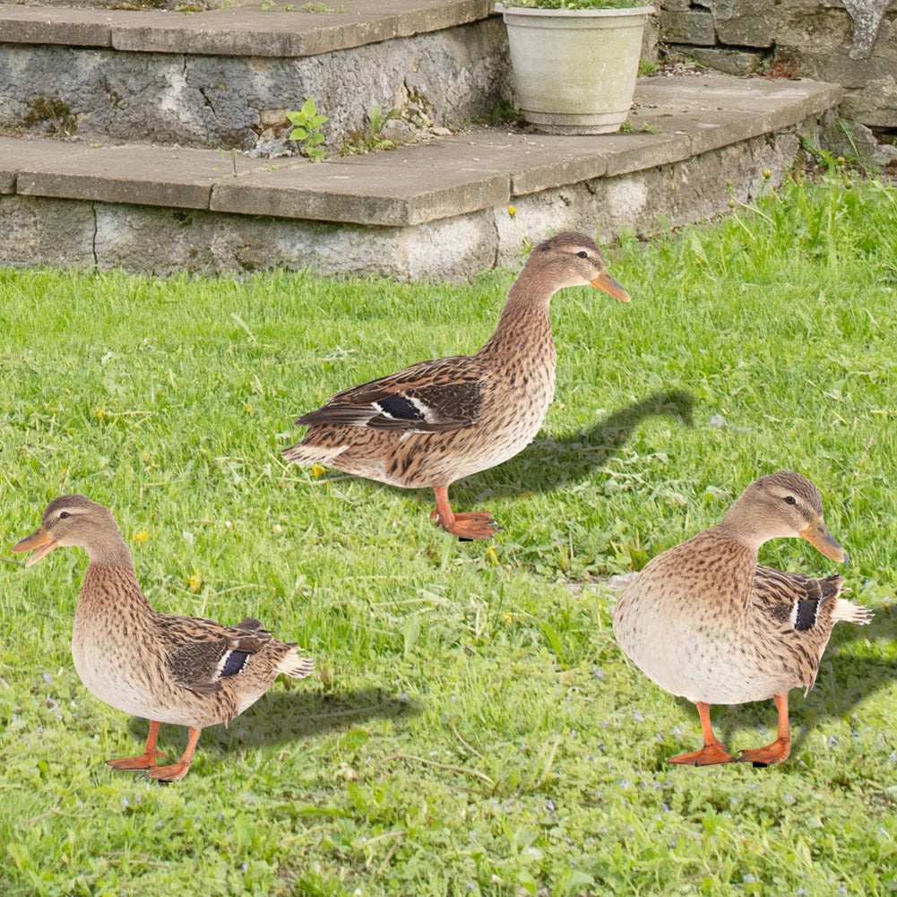 1Pcs Acrylic Duck Garden Stake Garden Decoration Chicken Garden Figures Yard Garden Statue Decor Outdoor Lawn Decor Decoration