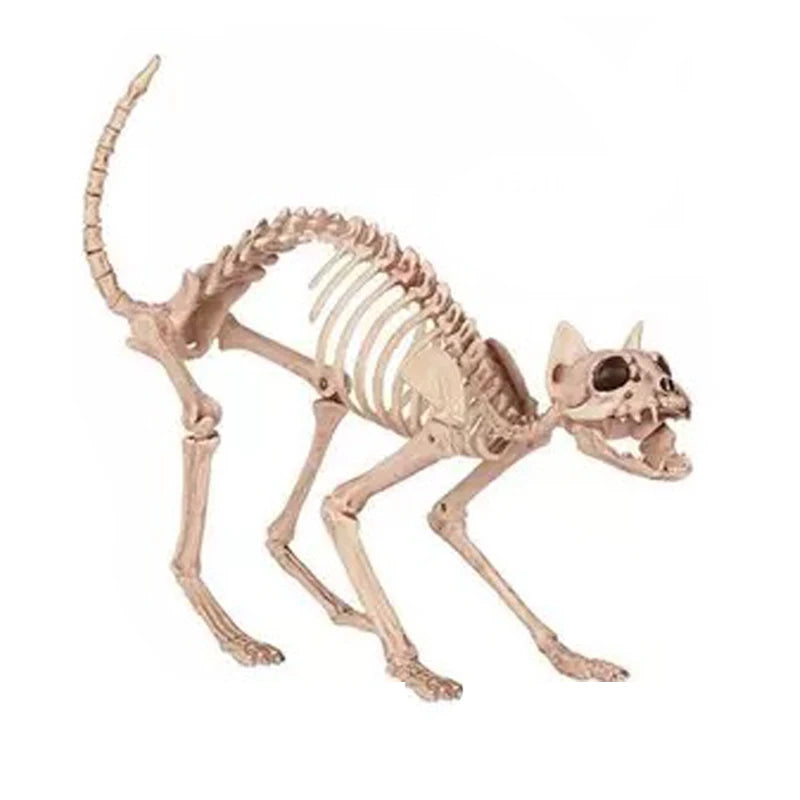 Skeleton Cat 100% Plastic Animal Skeleton Bones for Scary Halloween Decoration